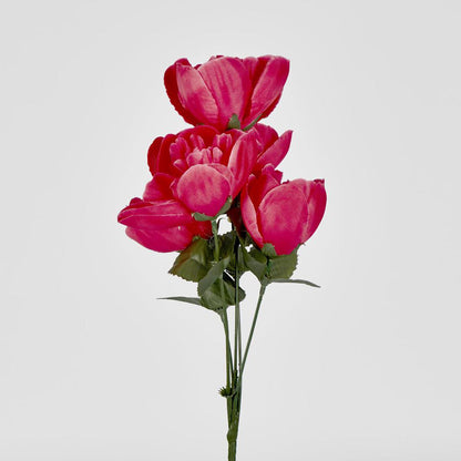 Peony Bush Asstd Box of 60