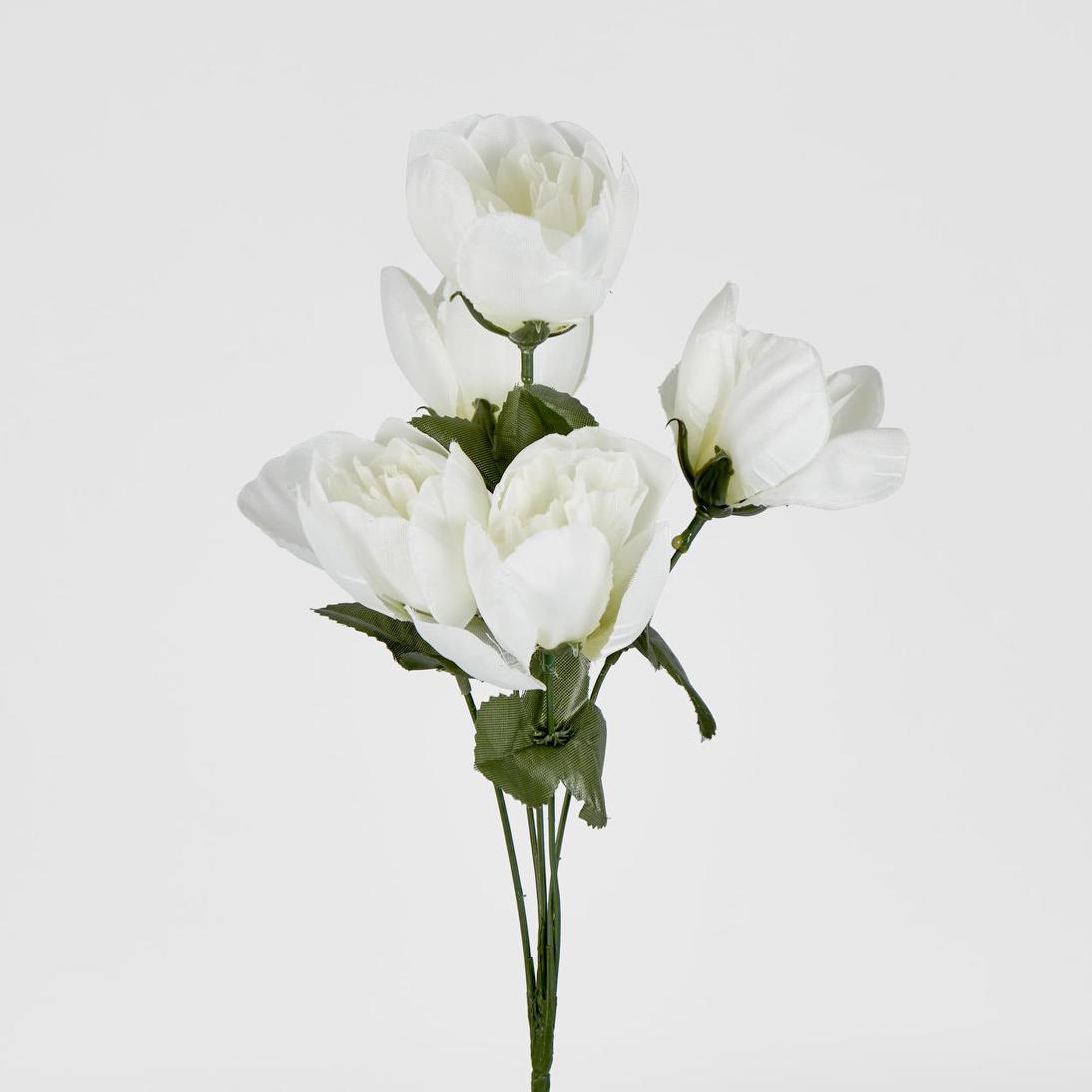 Peony Bush Asstd Box of 60