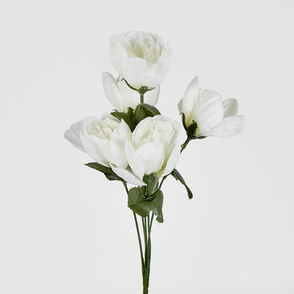 Peony Bush Asstd Box of 60