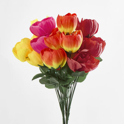 Peony Bush Asstd B Box of 60