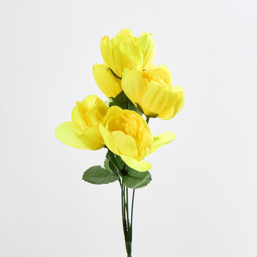 Peony Bush Asstd B Box of 60