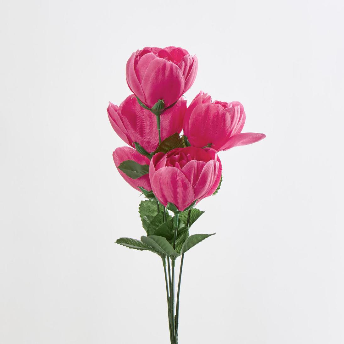 Peony Bush Asstd B Box of 60