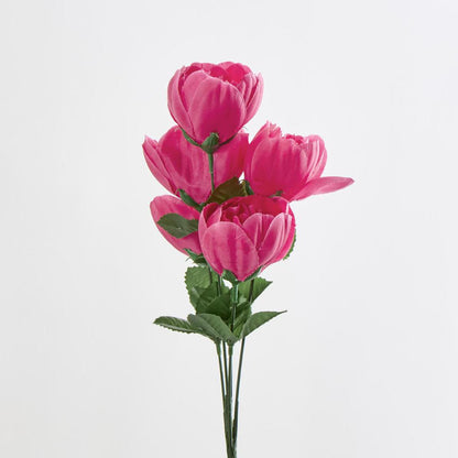 Peony Bush Asstd B Box of 60