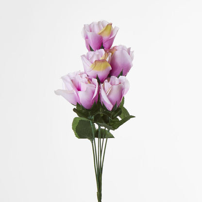 Rosebud Bush Asstd Box of 60