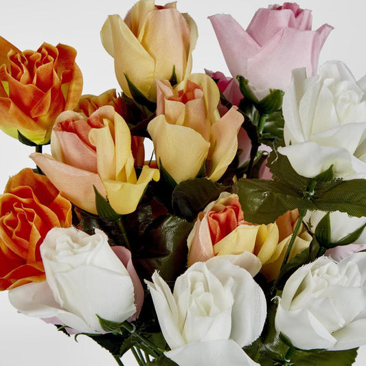 Rosebud Bush Asstd C Box of 60
