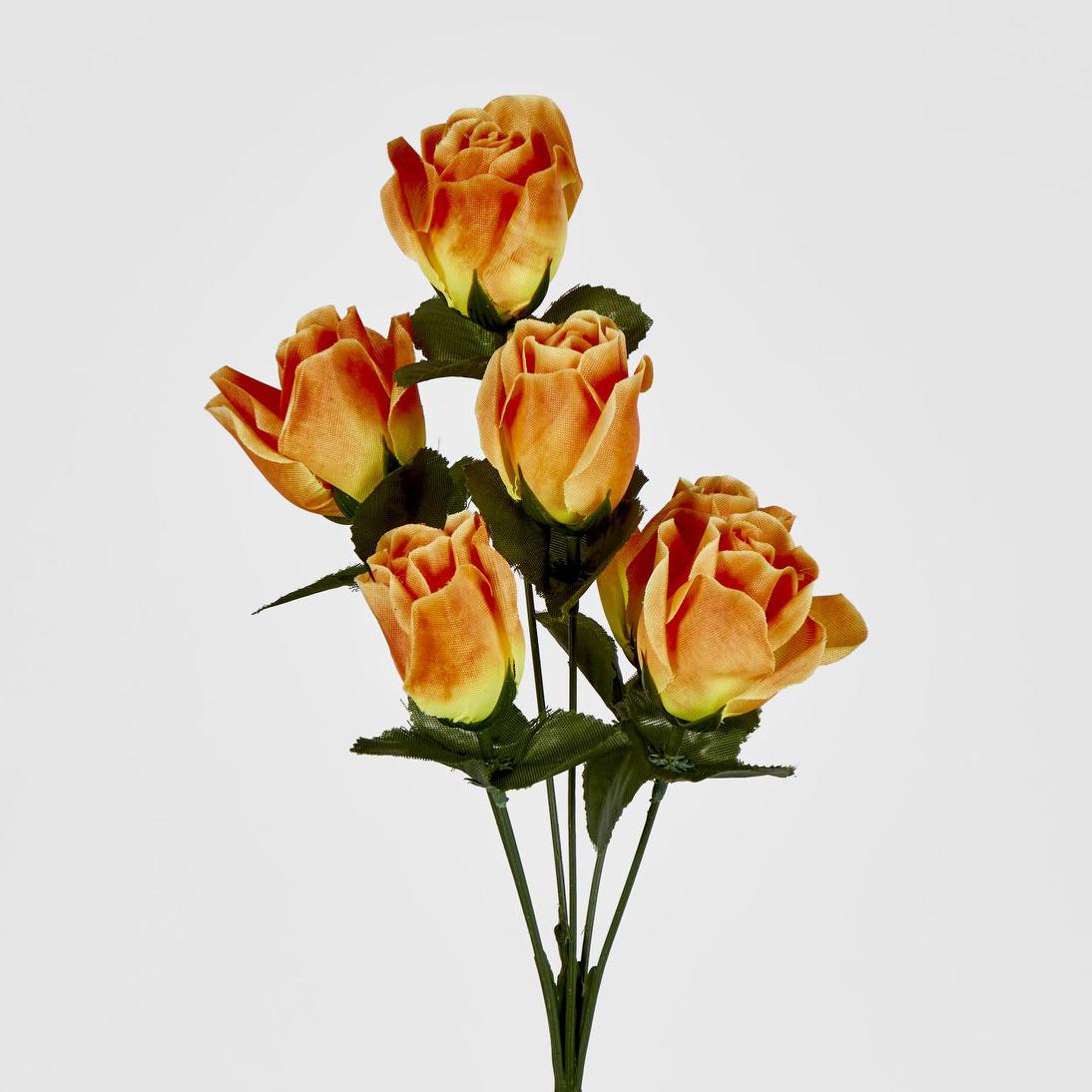Rosebud Bush Asstd C Box of 60