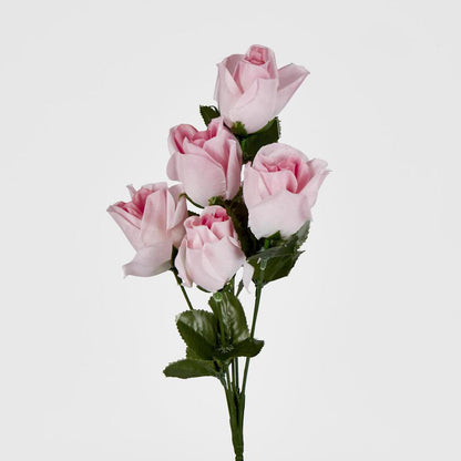 Rosebud Bush Asstd C Box of 60
