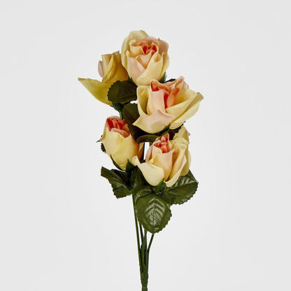 Rosebud Bush Asstd C Box of 60