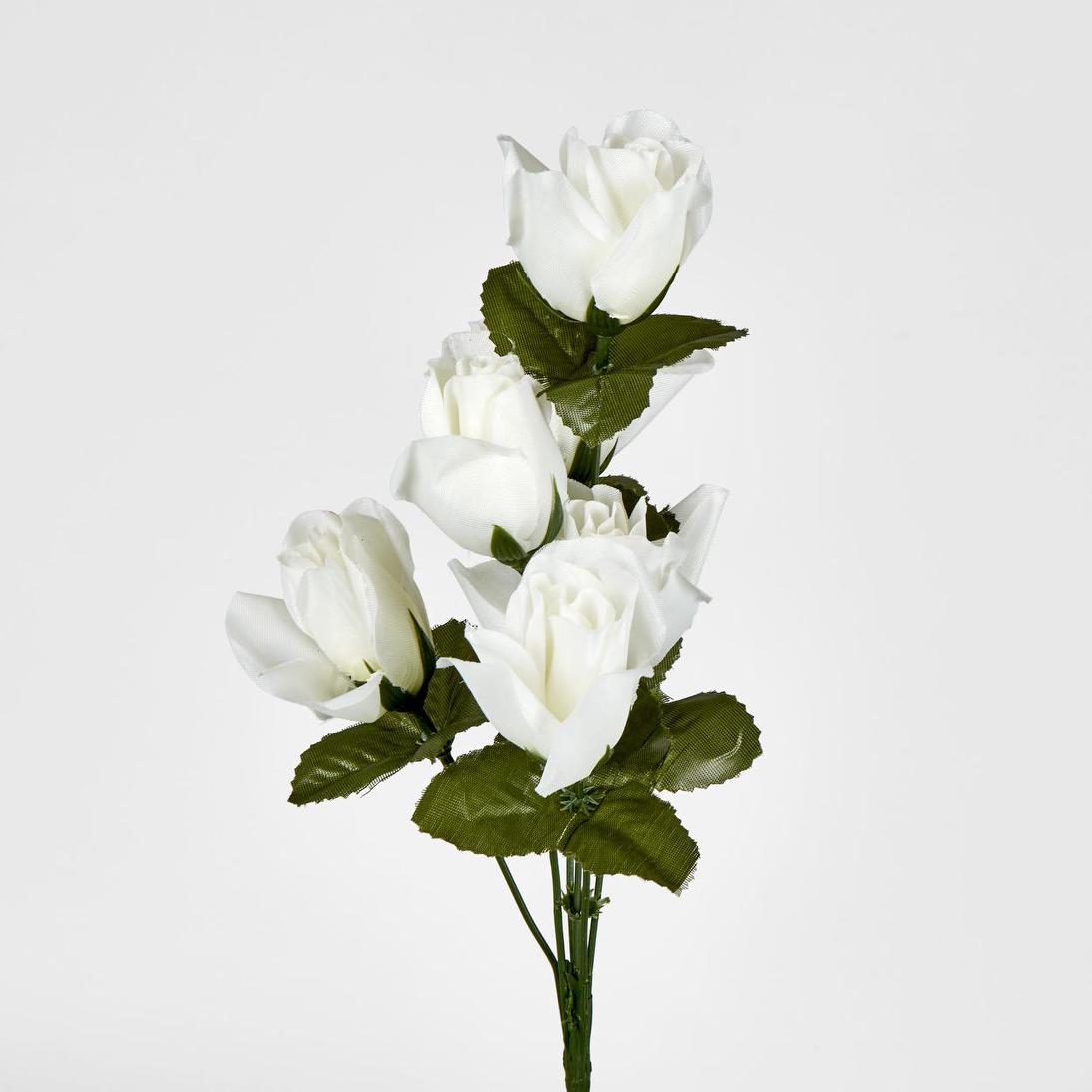 Rosebud Bush Asstd C Box of 60