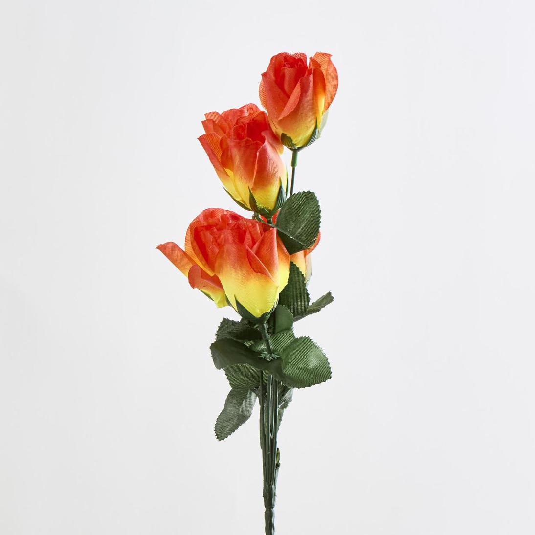 Rosebud Bush Asstd F Box of 60