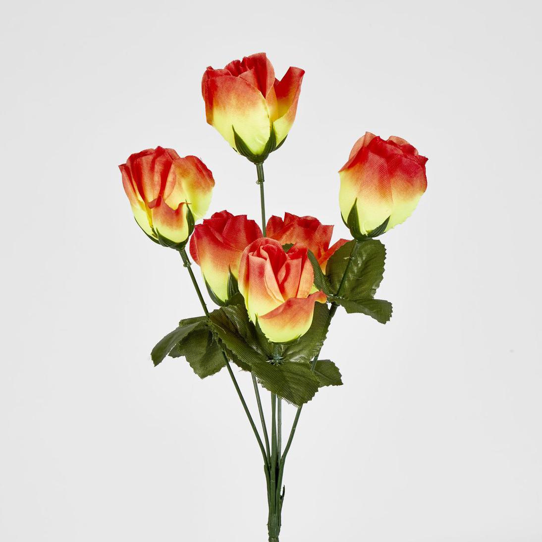 Rosebud Bush Multi Box of 60