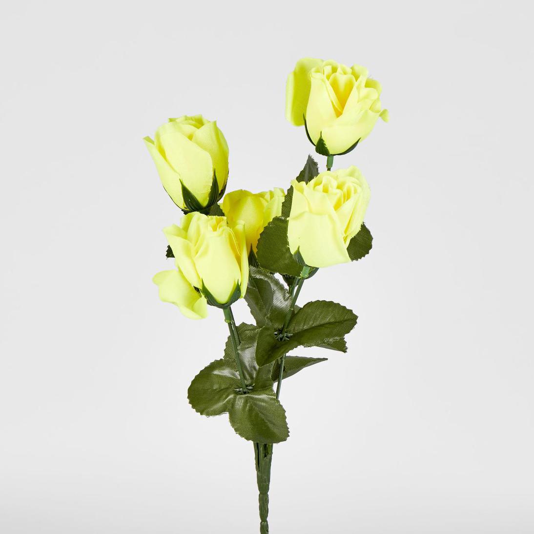 Rosebud Bush Multi Box of 60