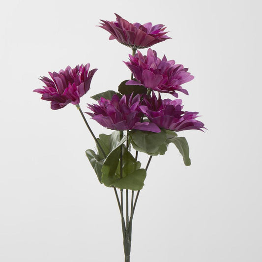 Gerbera Bush Dark Box of 60