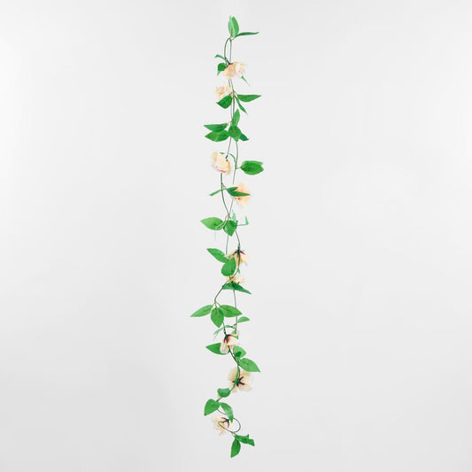 Rose Garland Cream