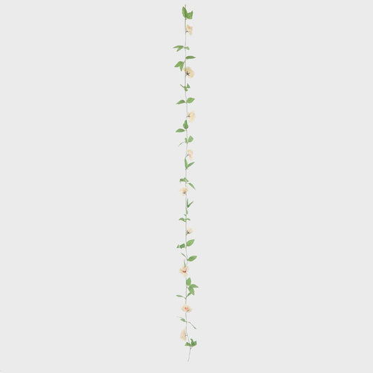 Rose Garland Cream