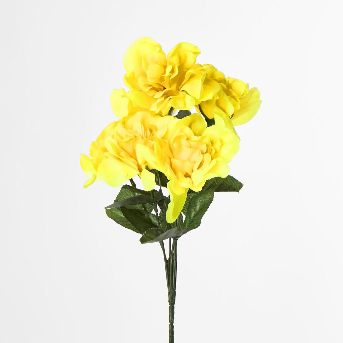 Dahlia Bush 50cm Asstd Box Qty Only