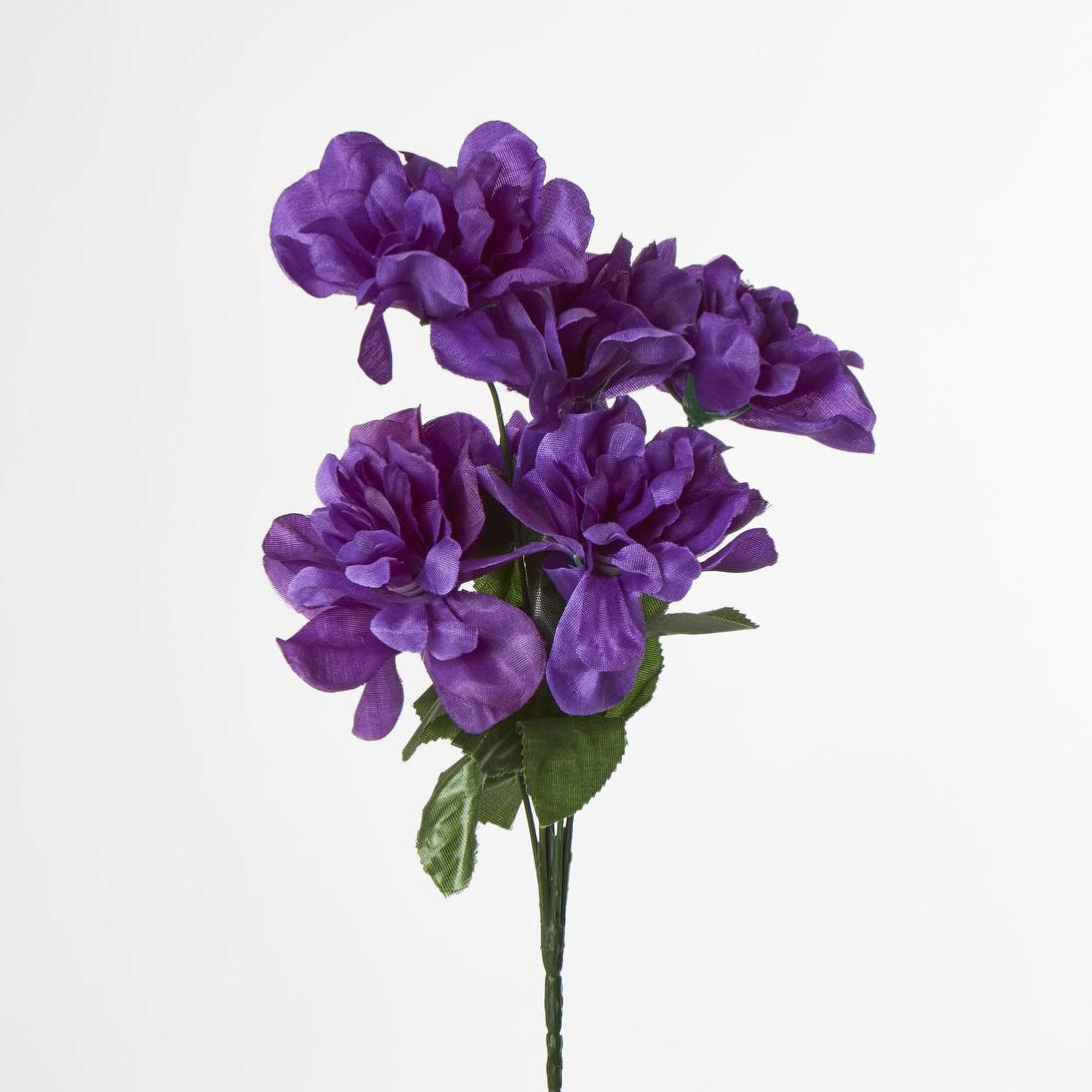 Dahlia Bush 50cm Asstd Box Qty Only