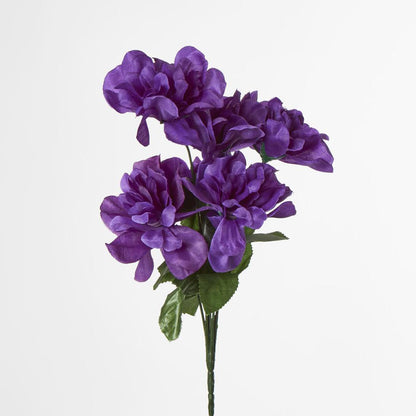 Dahlia Bush 50cm Asstd Box Qty Only