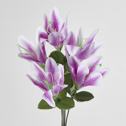 Tiger Lily Bush 4 Colours Box of 60