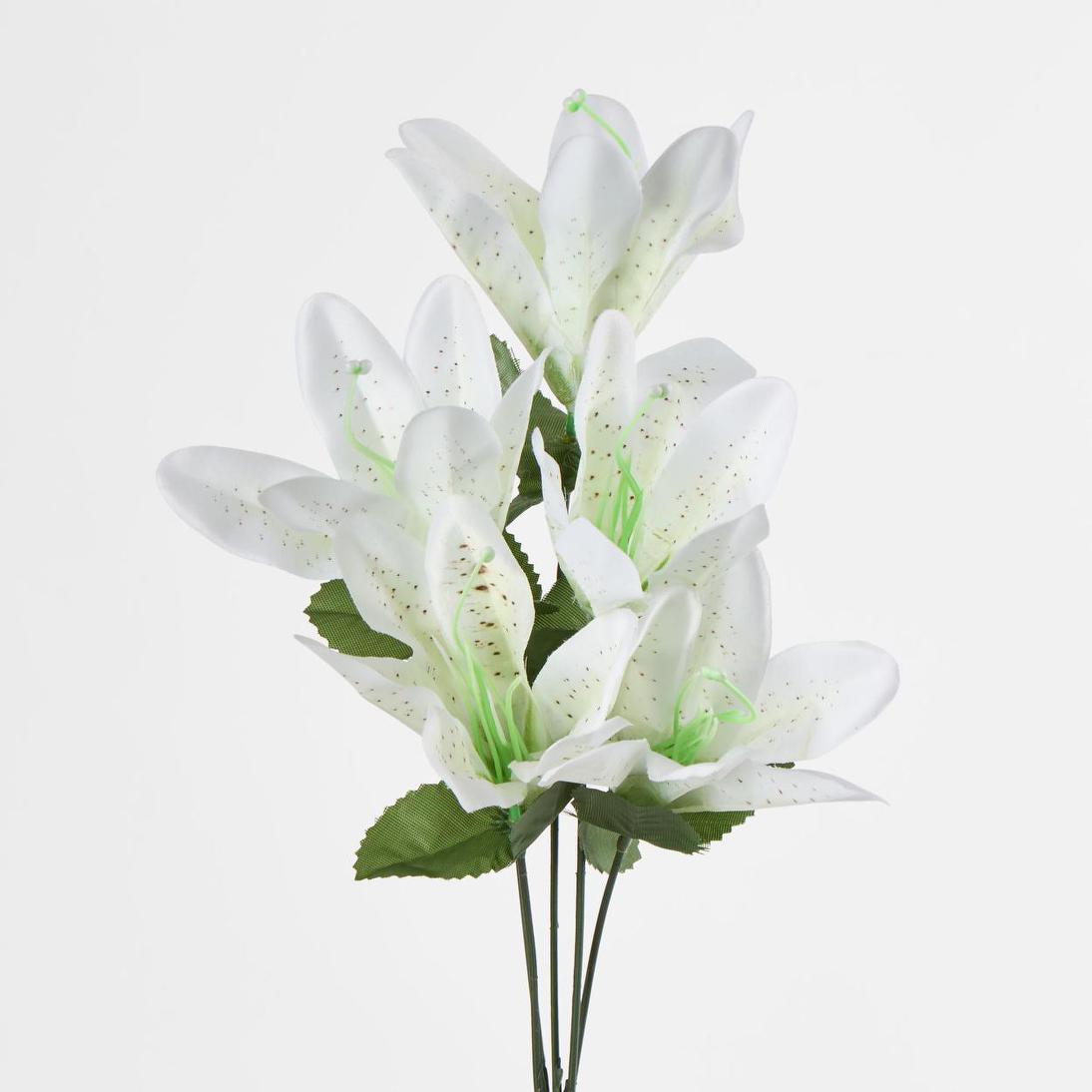 Tiger Lily Bush 4 Colours Box of 60
