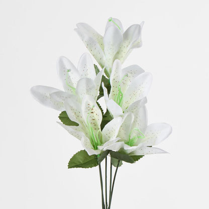 Tiger Lily Bush 4 Colours Box of 60