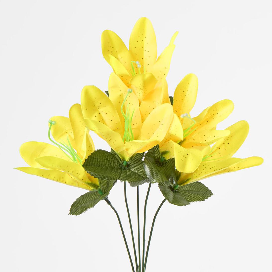 Tiger Lily Bush 4 Colours Box of 60
