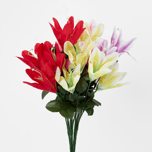 Tiger Lily Bush Asstd Colours Box of 60