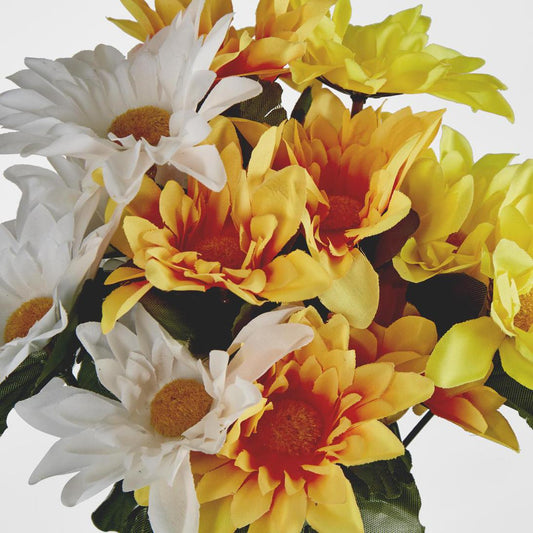 Sunflower Gerbera Daisy Bush Asstd Box of 60