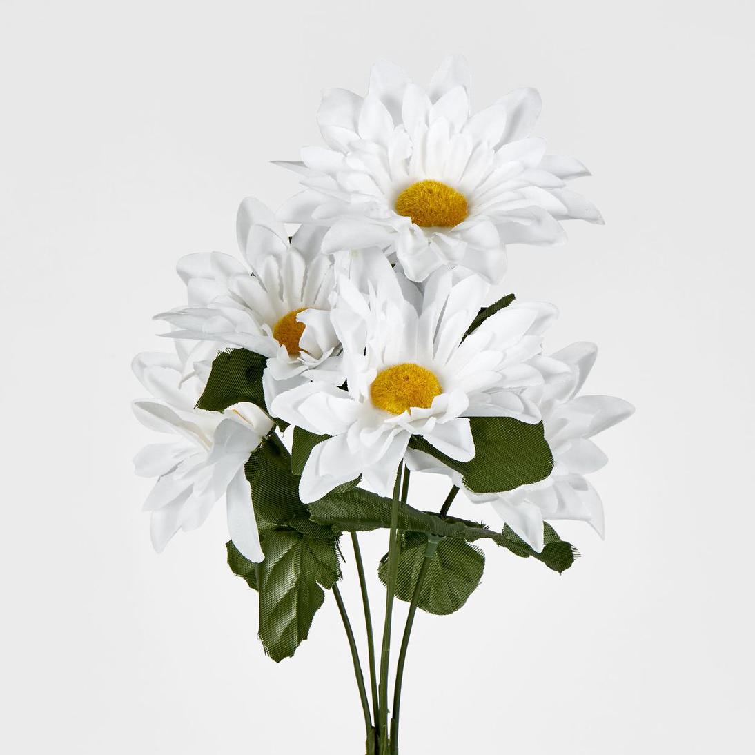 Sunflower Gerbera Daisy Bush Asstd Box of 60