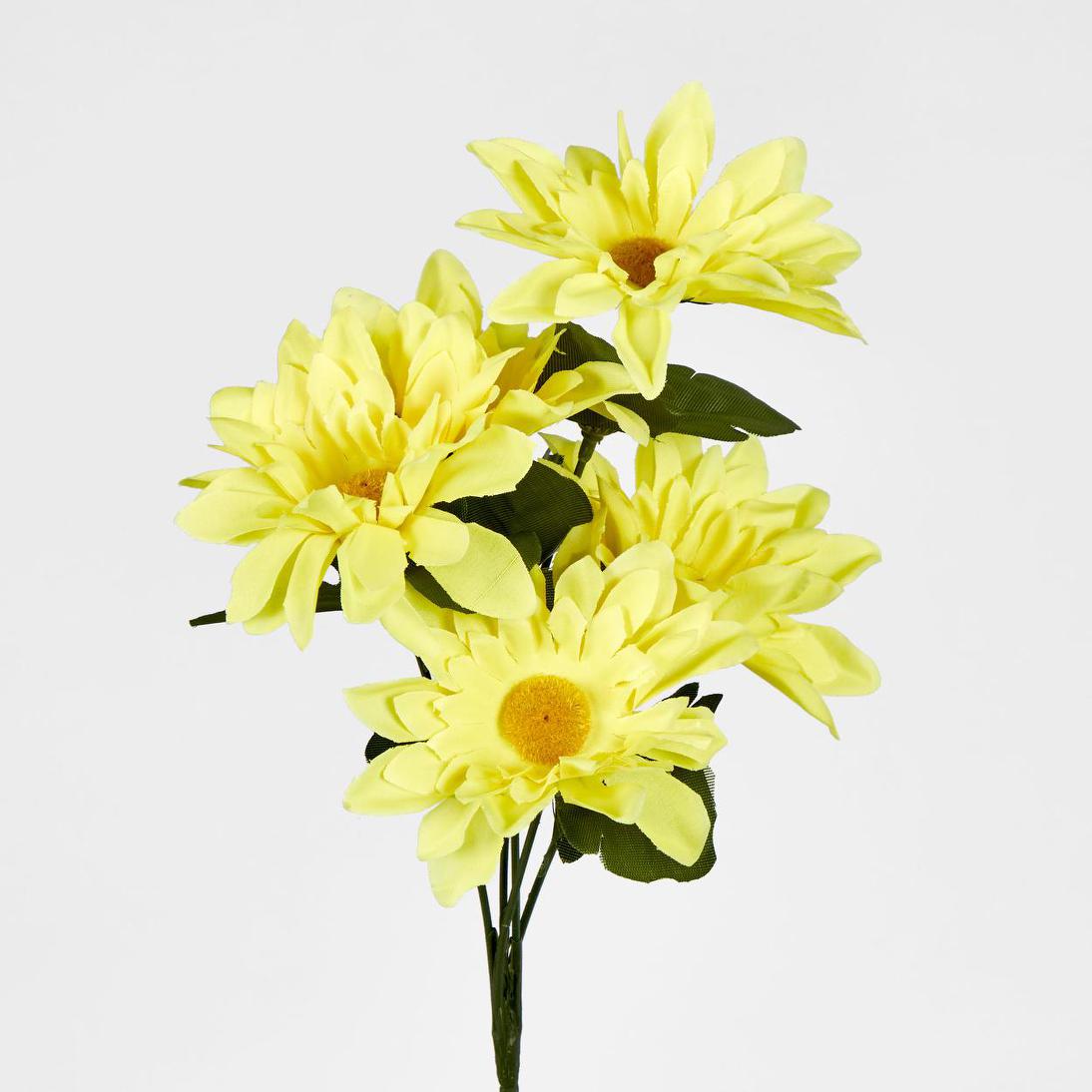 Sunflower Gerbera Daisy Bush Asstd Box of 60