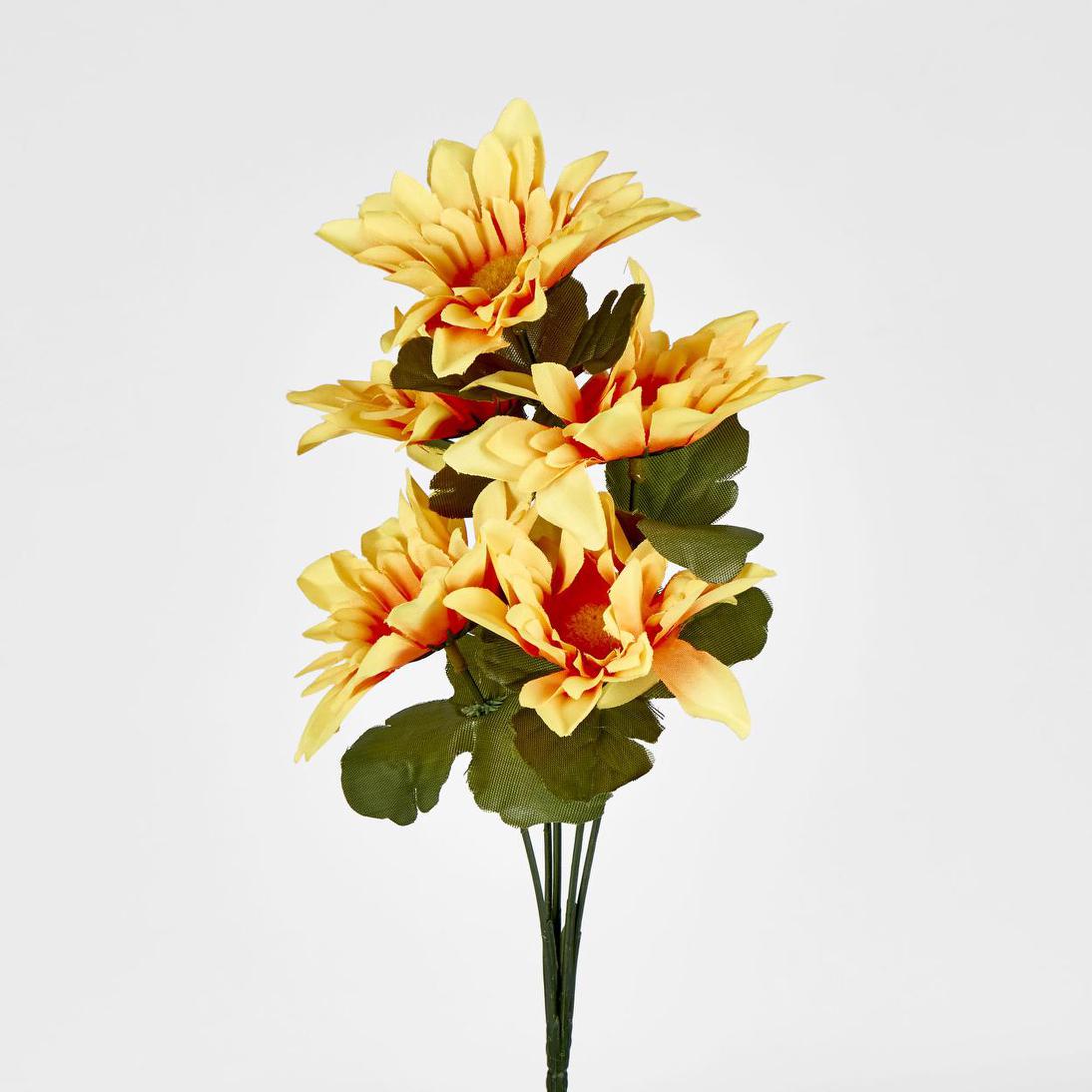 Sunflower Gerbera Daisy Bush Asstd Box of 60