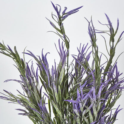 Podocarpus Grass Bush