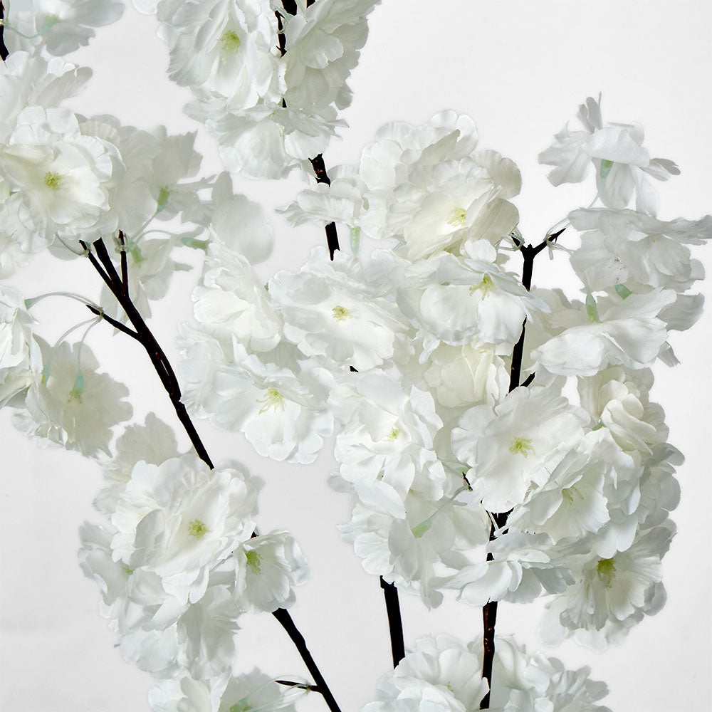 Blossom Spray White