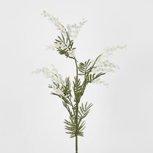 Australian Wattle 85cm White
