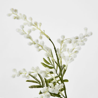 Australian Wattle 85cm White