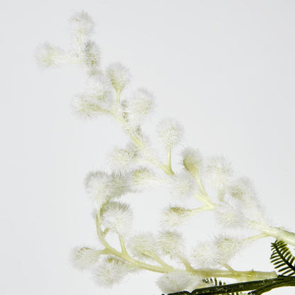 Australian Wattle 85cm White