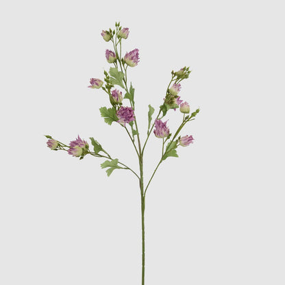 Blushing Bride Spray Purple