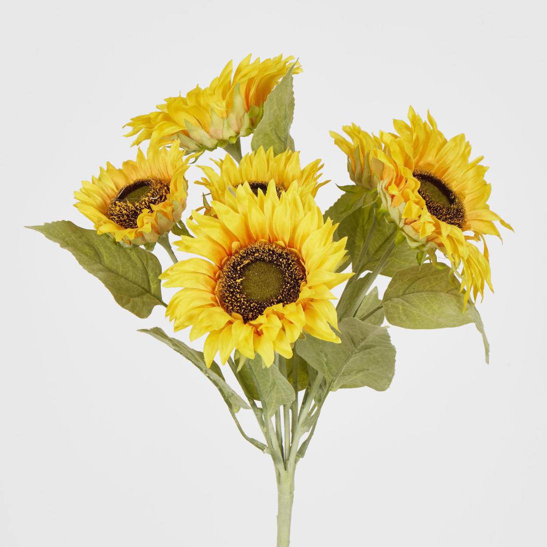 Sunflower Bush with 5 Flowers Yellow