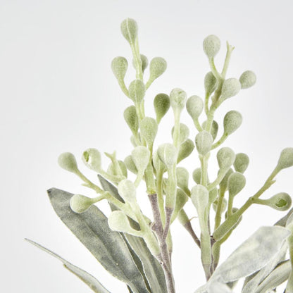 Wattle Bundle Green