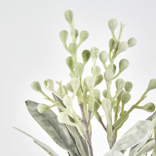 Wattle Bundle Green
