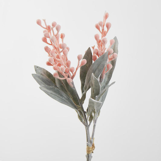 Wattle Bundle Orange