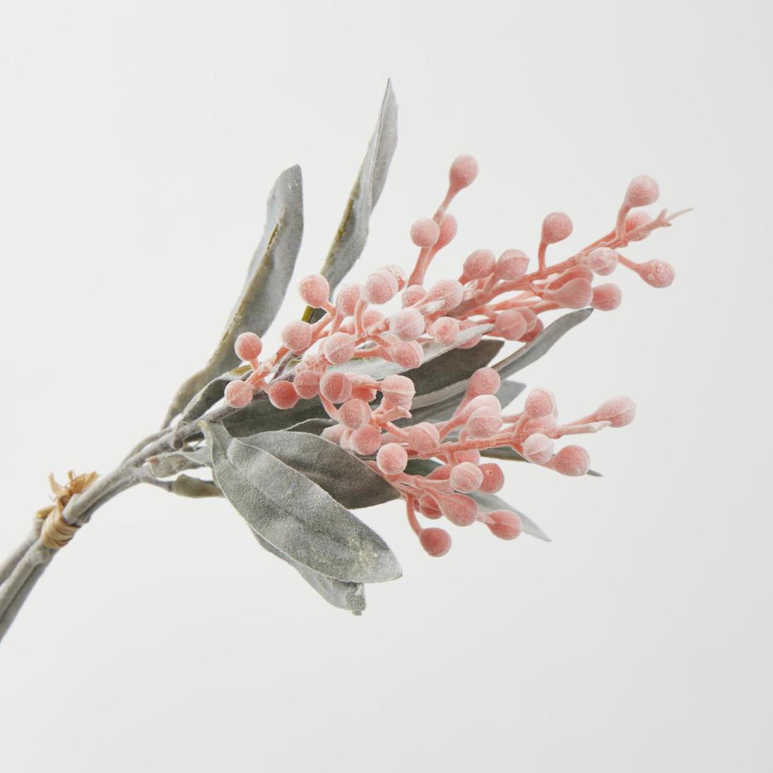 Wattle Bundle Orange