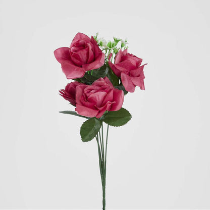 Rose Bush Asstd Box of 60