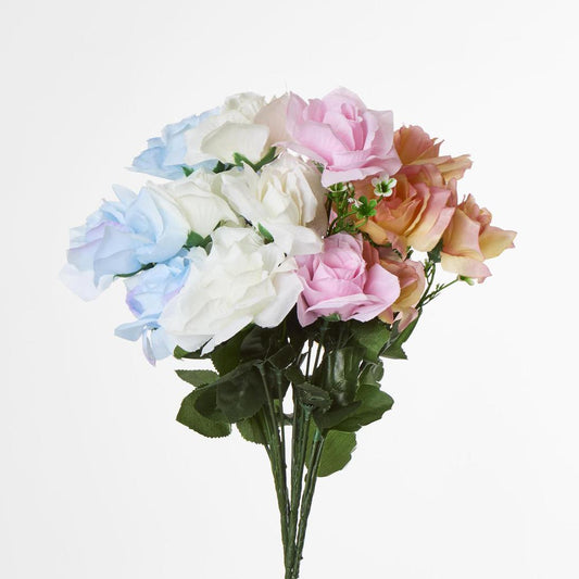 Rose Bush B Asstd Box of 60