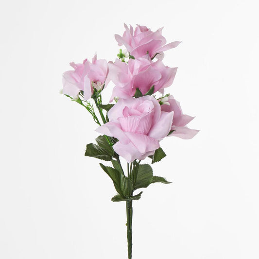 Rose Bush B Asstd Box of 60