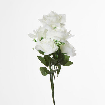 Rose Bush B Asstd Box of 60
