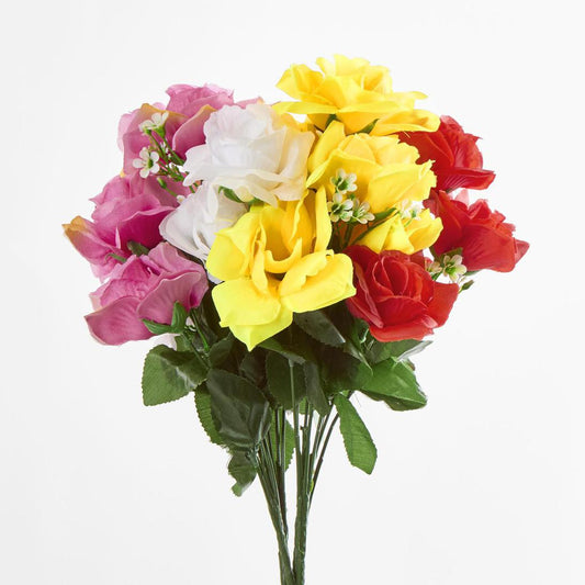 Rose Bush C Asstd Box of 60