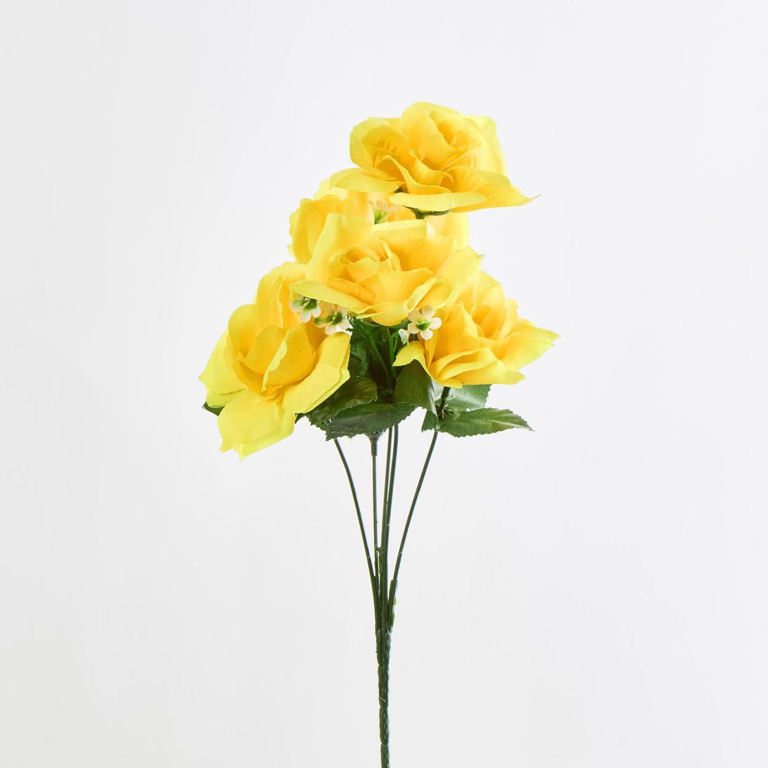 Rose Bush C Asstd Box of 60