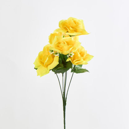 Rose Bush C Asstd Box of 60