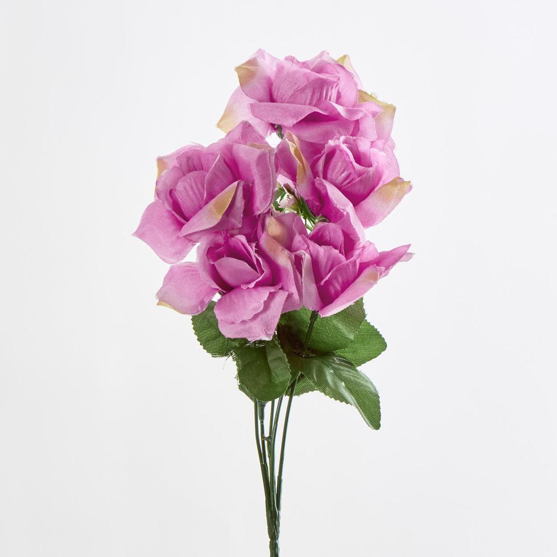 Rose Bush C Asstd Box of 60